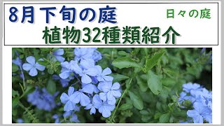 【ガーデニング】【8月下旬の庭こんな花が咲きました】ナチュラルガーデンを目指して/宿根草、一年草、クレマチス、バラなど32品種/夏の花/8月の花/園芸/