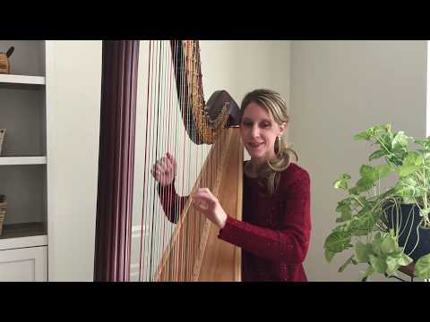 Endless Love by Lionel Richie ~ Tiffany (Envid) Jones - Harpist