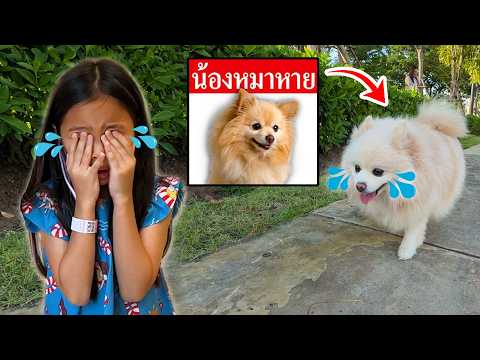 แย่แล้ว! ลูกหมาหลงทาง | บริ้งค์ไบรท์