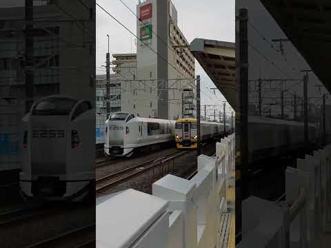 高速ですれ違うE259系成田エクスプレス号とE257系新宿わかしお号