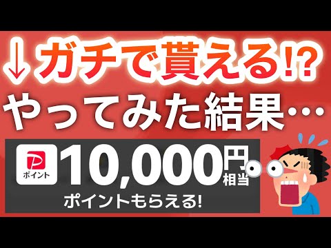 最近話題のPayPay10000pやったら衝撃の結果に…