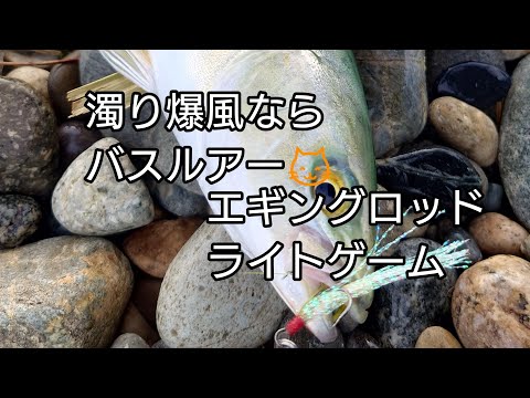 富山の秋はエギングロッドでライトゲーム！？#shorts