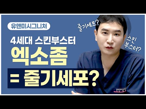 엑소좀 = 줄기세포 차이점  정확하게 알고 시술 받자-!