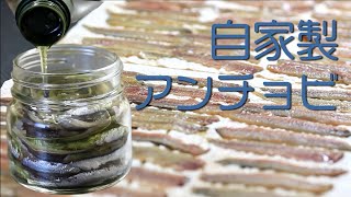 Let's Make Homemade Anchovies - Superb Preserved Food