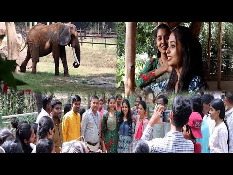 ಮೈಸೂರು Zoo Part - 02 | Fans Meet | Mysuru | Brundavana | colours kannada | wild life |