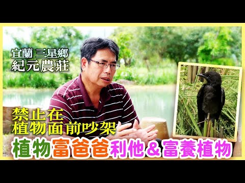 【宜蘭三星鄉】營養滿足獨特農法 吳慶鐘找回作物原有的營養與風味|有機無毒|美麗心台灣(442) #美麗心台灣  ＃營養滿足栽培法  ＃紀元農莊 ＃黑豆醬油 ＃吳慶鐘 ＃甜玉米 ＃有機  ＃富爸爸