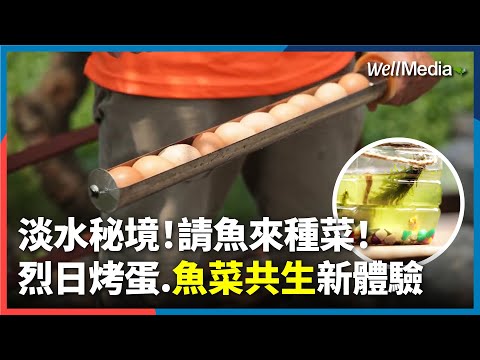 靠太陽就能烤出香噴噴雞蛋？淡水忠寮社區每年發350千瓦綠電 拚淨零碳排！小魚會種菜？淡水秘境體驗迷你版「魚菜共生」手作DIY療癒小物【WellTalk】