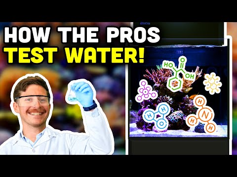 How We Test our Water Parameters! Essential Tips for a STABLE Reef!