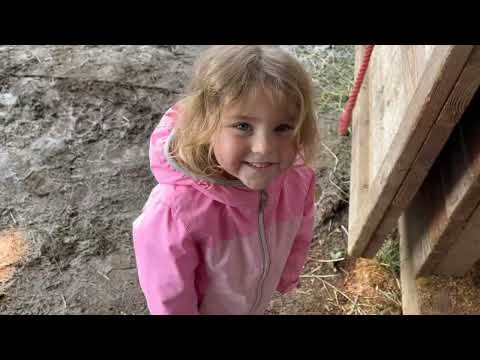 Volunteering at a Rescue Horse Barn (learning hard work and serving others)