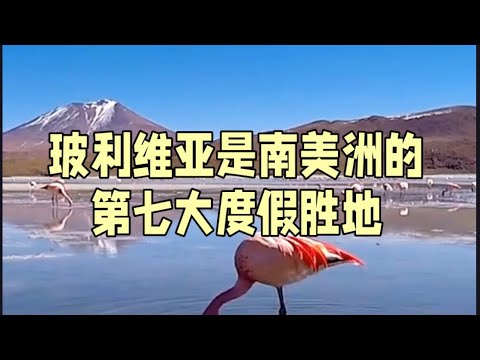 玻利维亚旅游景点Bolivia tourist attractions#玻利維亞 #旅游