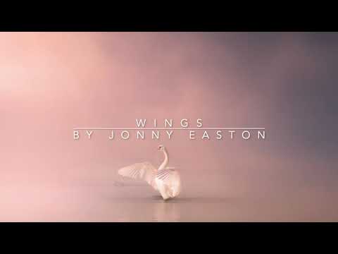 Wings - Touching Piano Music - Royalty Free