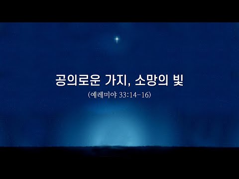 공의로운 가지, 소망의 빛