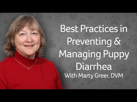 Webinar: Managing & Preventing Puppy Diarrhea