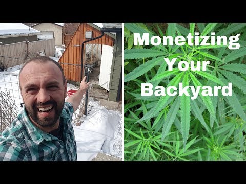 Monetizing Your Backyard, Live on Youtube Today, Ask me Anything About Passive Solar Greenhouses