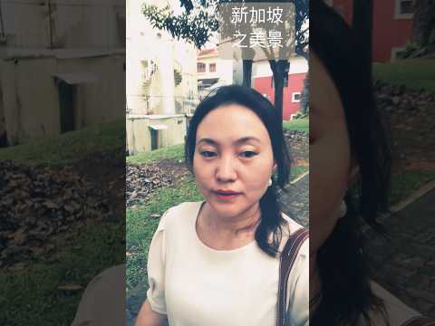 新加坡周末日常经过公园去见朋友吃饭聊天#chill #singaporevlog