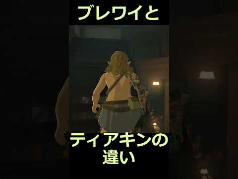 ティアキンとブレワイの違い 不審者編 #ゼルダの伝説 #zelda #ゼルダの伝説ブレスオブワイルド #ゼルダの伝説ティアーズオブザキングダム