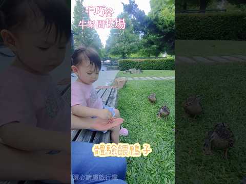 千巧谷乳牛牧場，有許多可愛小動物，還可以體驗餵鴨子跟魚還有餵牛吃草，麵包款式多樣好吃，適合全家來體驗。#親子景點 #雲林景點 #乳牛 #千巧谷牛樂園牧場  #侖背景點 #好吃麵包 #可愛動物 #放電