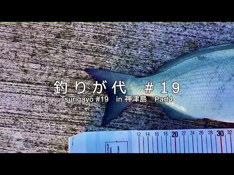 #19 朝まづめの団子釣りで大物が！！｜in 神津島 Part4｜4K動画