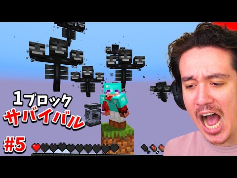 1マスしかない世界でガチ不可能な展開wwww【マイクラ】