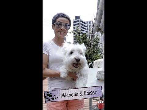 Schnauzer Can Help 雪納瑞接龍 甜甜篇