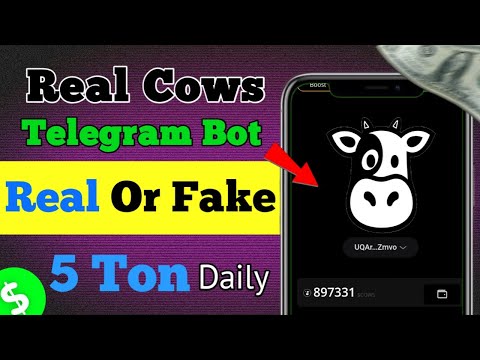 real cow house | real cow house real or fake | real cow airdrop | real cow house scam