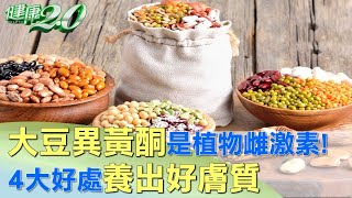 大豆異黃酮是植物雌激素！4大好處養出好膚質 健康2.0@tvbshealth20