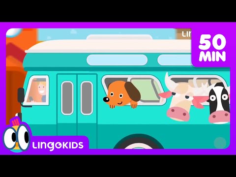 BINGO THE DOG 🐶 More Popular Songs for Kids | Lingokids