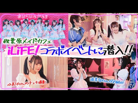 【潜入】マジカルロリポップ × iLiFE！ コラボカフェの様子を密着公開！