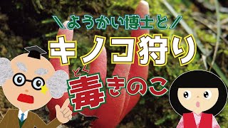 【ようかい博士】キノコ狩りに行こう！毒キノコも☆最後はキノコクイズもあるよ♪知育・図鑑☆秋【子供むけアニメ】ようかいしりとりのキャラクターがキノコ探しの探検に行くよ☆