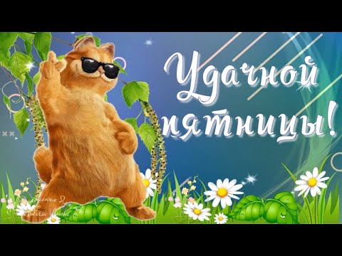 Удачной пятницы, друзья!!! Небольшой позитивчик для Вас!