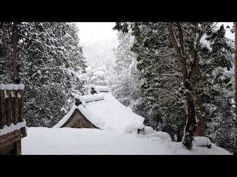 京都・丹波の寺社#67　質美八幡宮　ShitsumiHachimangu shrine