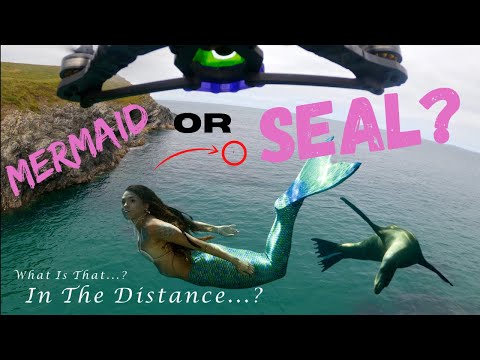 (What Is That?!) Seal Or Mermaid?! Cornish Coast UK Fpv ??