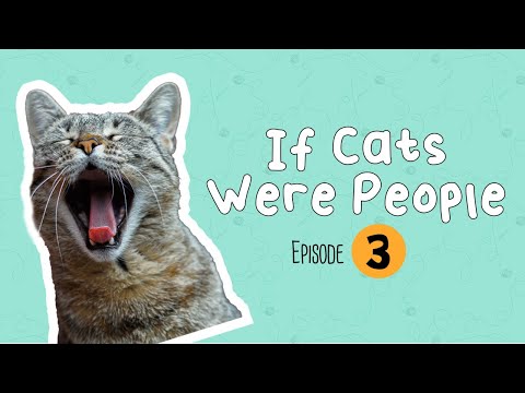 Episode 3: If People Were Cats