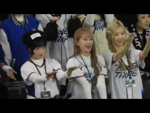 【WBSC Premier12】最強台湾チアが来日、度重なるチャンスで爆盛り上がりする台湾応援団‼︎ Japan vs Taiwan