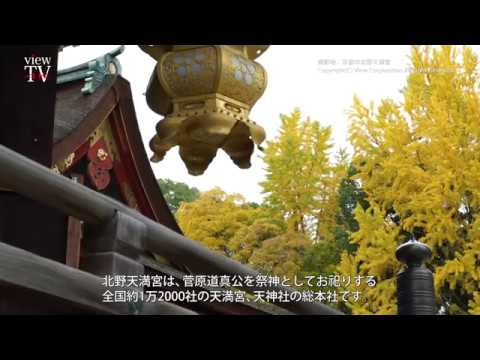 [KYOTO viewTV-71] 北野天満宮の秋（京都市上京区） "Autumn in Kitano Tenmangu" Kamigyo-ku, Kyoto City