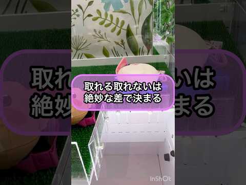 【クレーンゲーム攻略】取れる取れないは...絶妙な差で決まる‼︎