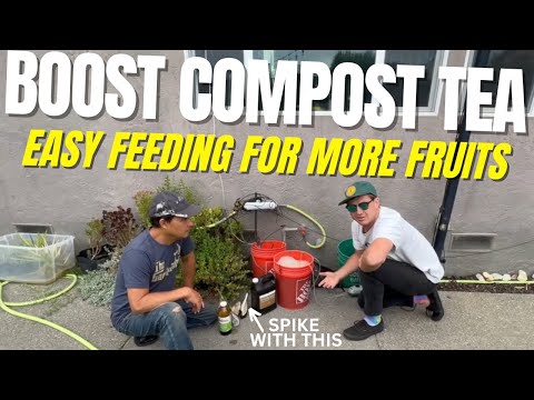 How to Boost Compost Tea & Feed When Watering Your Cannabis Garden