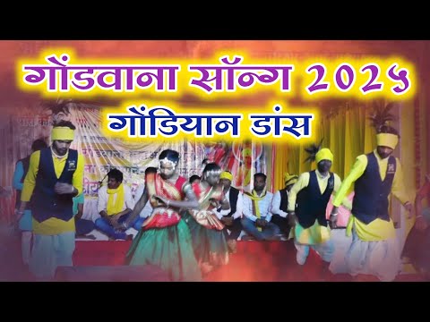 गोंडवाना साॅन्ग 2025 | gondwana song 2025 | गोंडियान डांस विडिओ | aadiwasi nitya video | cg song