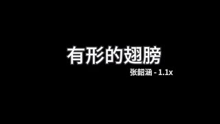 张韶涵 - 有形的翅膀 1.1x 「带着我抵挡，曾受过的伤，每一个孤单的晚上」【歌词】