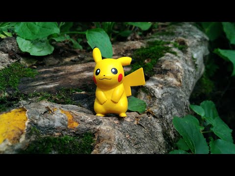 Pokemon photograph | toy | figure | nature | Mountain | Hokkaido