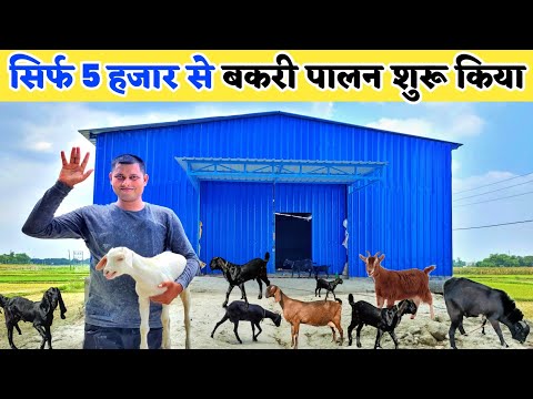 बकरी पालन के साथ मुर्गी का दाना बनाने की फैक्ट्री | 10 Bakri palan | Goat farming