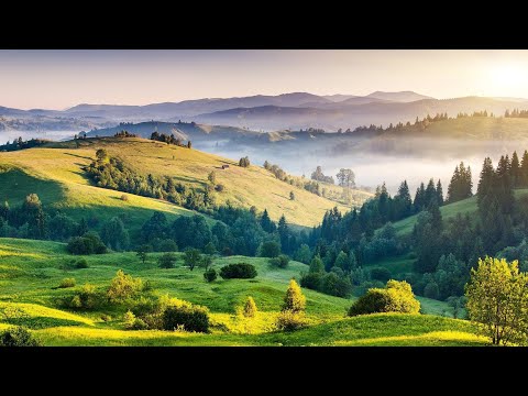 自然声音  钢琴音乐  舒适片刻  沉静  Ambient  Music  piano music  relaxing music