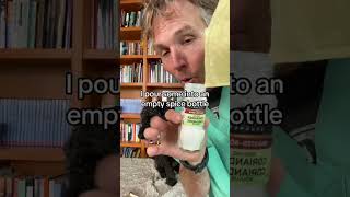 Simple veterinary hack for Natural Flea Control