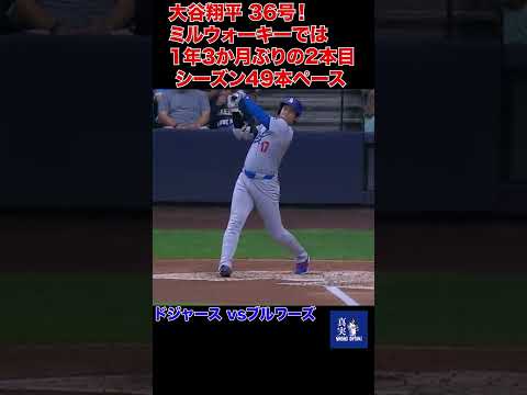 大谷翔平 3試合ぶりの36号！ミルウォーキーでは1年3か月ぶりの2本目、2位オズーナとは1本差 シーズン49本ペース #mlb #shohei