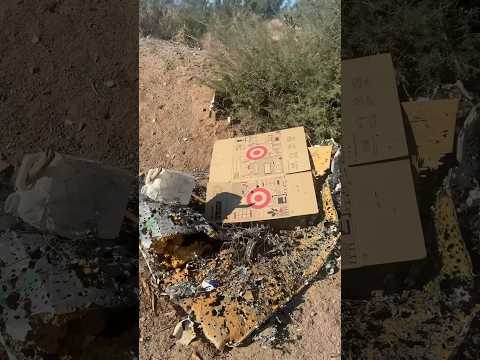 Gun owners consistently trash public land.