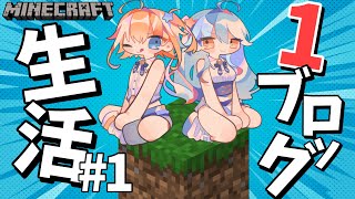 【 #じぇみ部 】はじめてのワンブロック生活 #１【 双未とおる／Star☆Ring 】 #新人vtuber