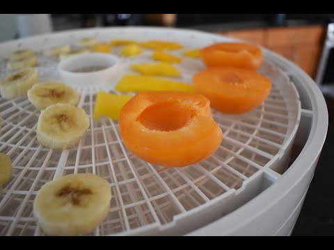 NESCO FD 1040 DEHYDRATOR REVIEW