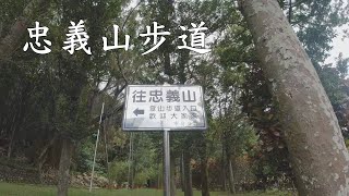 忠義山親山步道  北投行天宮(忠義廟)登山口上  原路回