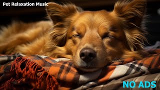 🐶RELAXING MUSIC TO CALM PETS 💛 RELAXING MUSIC FOR YOUR BEST FRIEND, MUSIC FOR DOGS