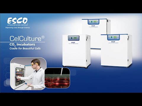 CelCulture® CO2 Incubator (CCL) from Esco Technologies